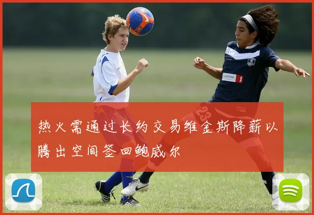 热火需通过长约交易维金斯降薪以腾出空间签回鲍威尔