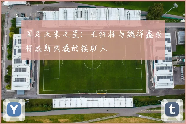 国足未来之星：王钰栋与魏祥鑫或将成新武磊的接班人