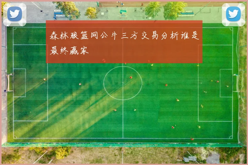 森林狼篮网公牛三方交易分析谁是最终赢家